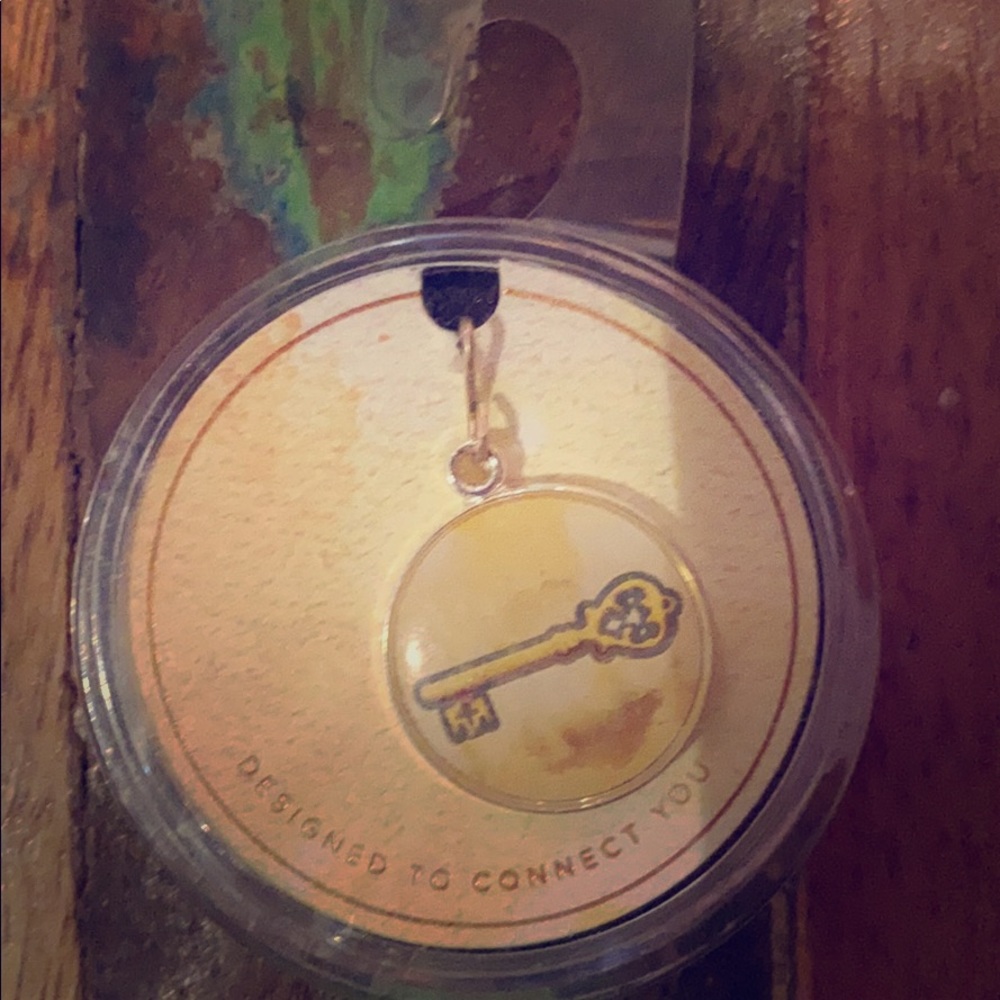 Alex & Ani Skeleton Key Charm- NWT